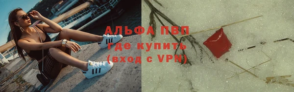 молекула духа Елабуга