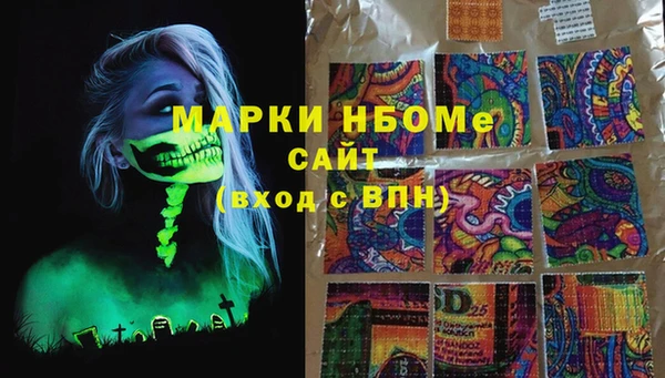 молекула духа Елабуга