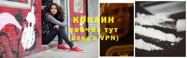 молекула духа Елабуга