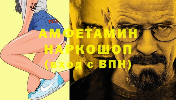 молекула духа Елабуга