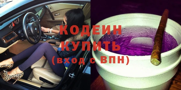 молекула духа Елабуга