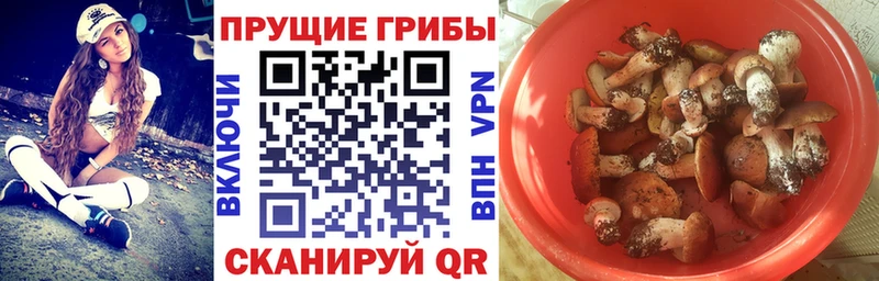 Галлюциногенные грибы Magic Shrooms Купить Мценск